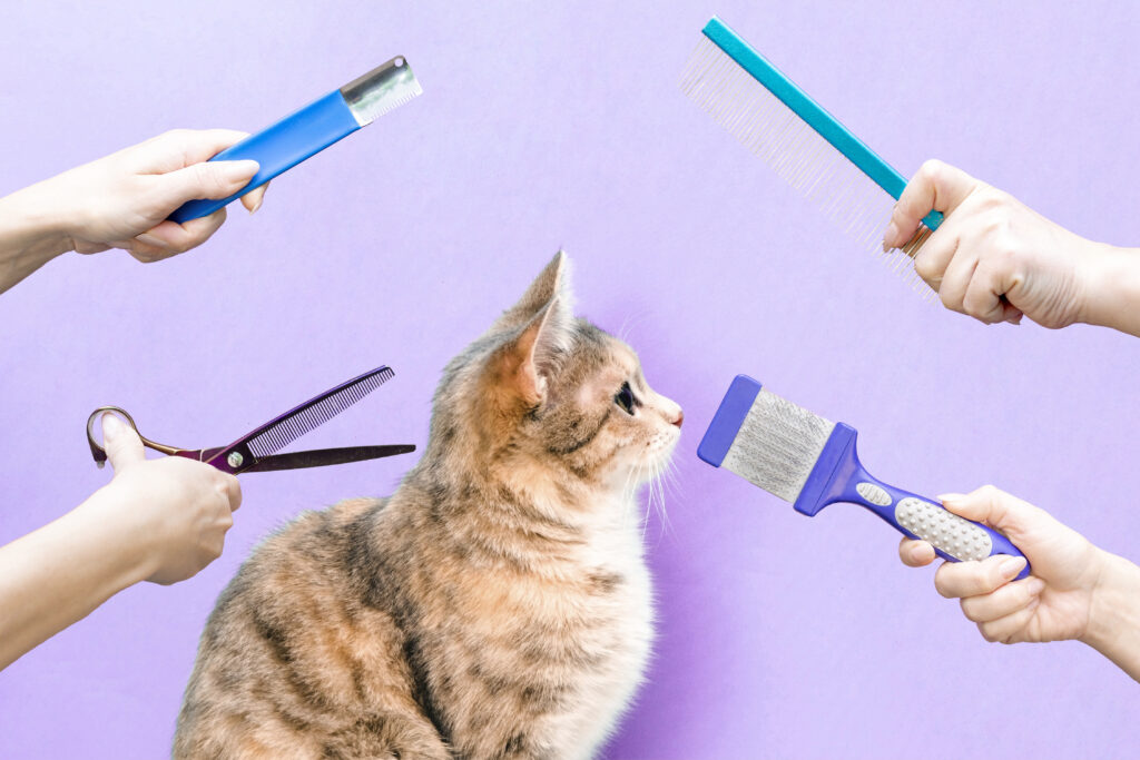 Cat Grooming Tips