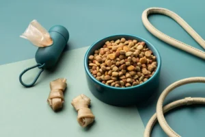 High-Protein Dry Dog Food