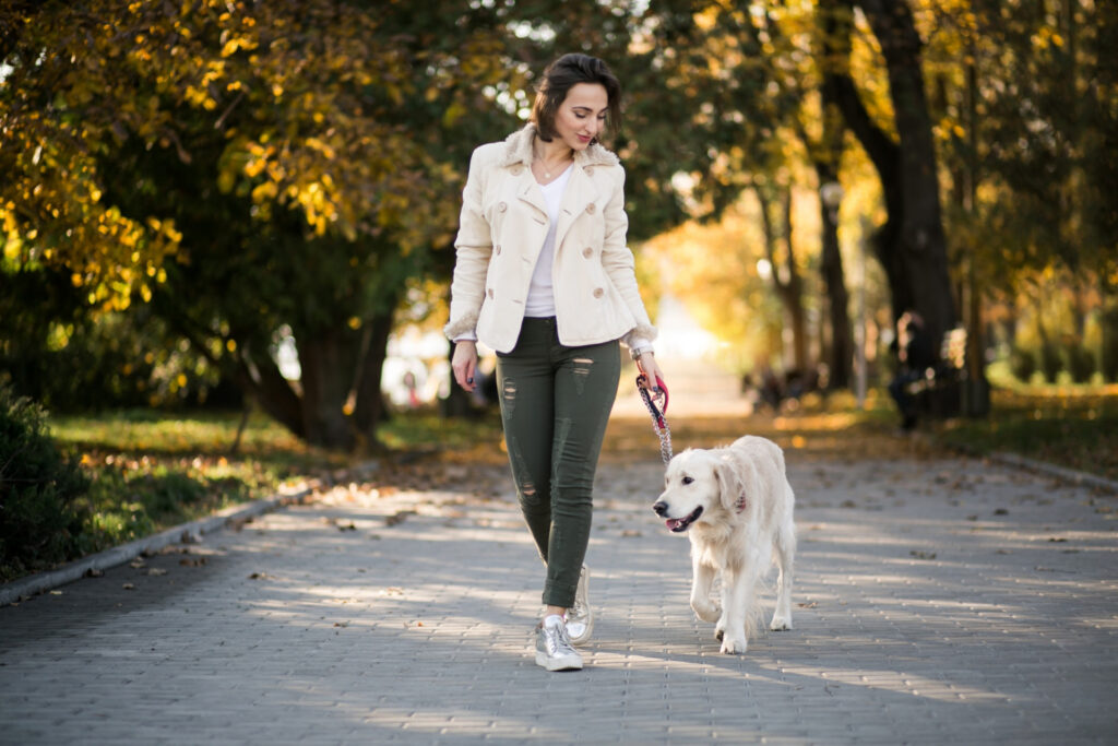 Tips for dog walking
