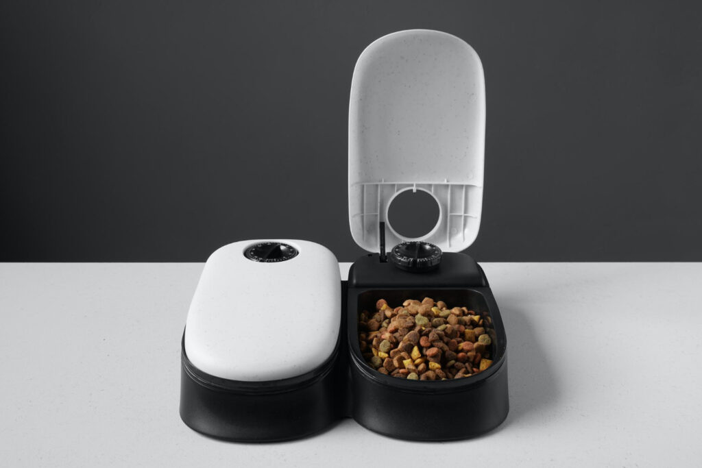 Best Cat Feeders