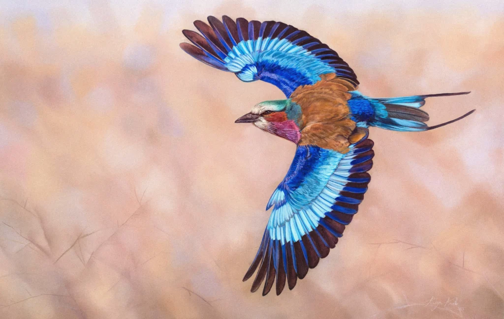 Lilac-breasted Roller – Africa’s Rainbow Bird