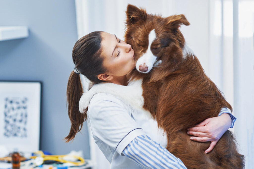 Pet Insurance 2025