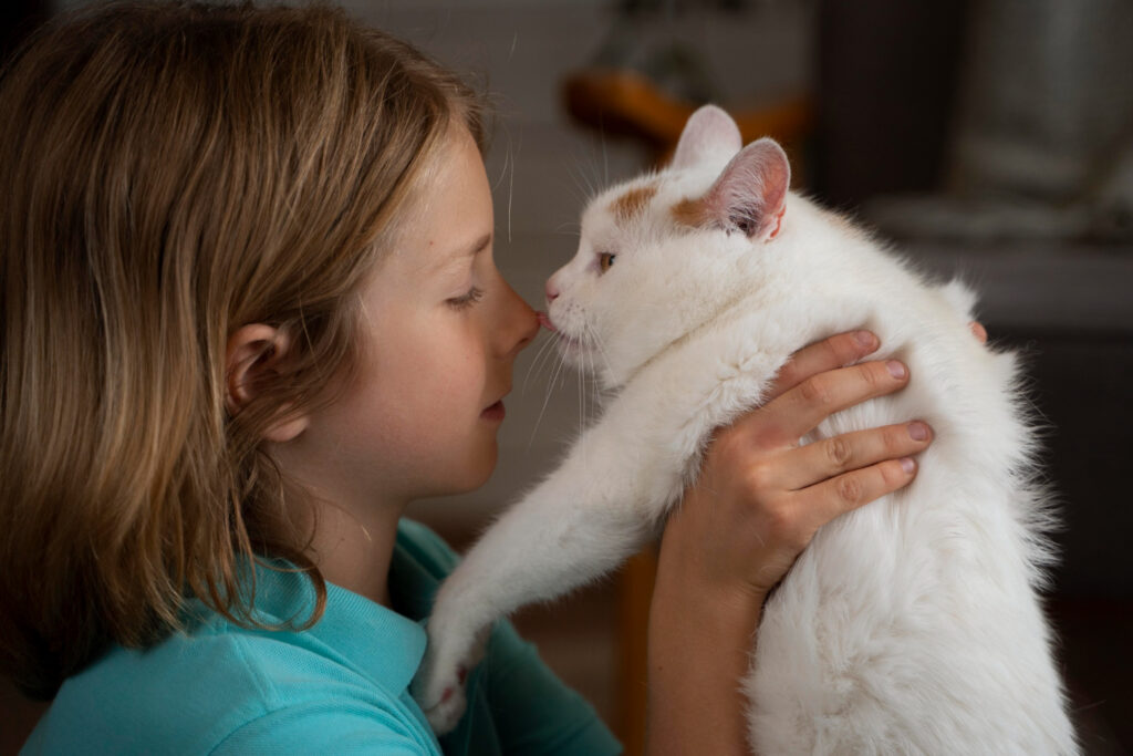 cat is playing with a kid