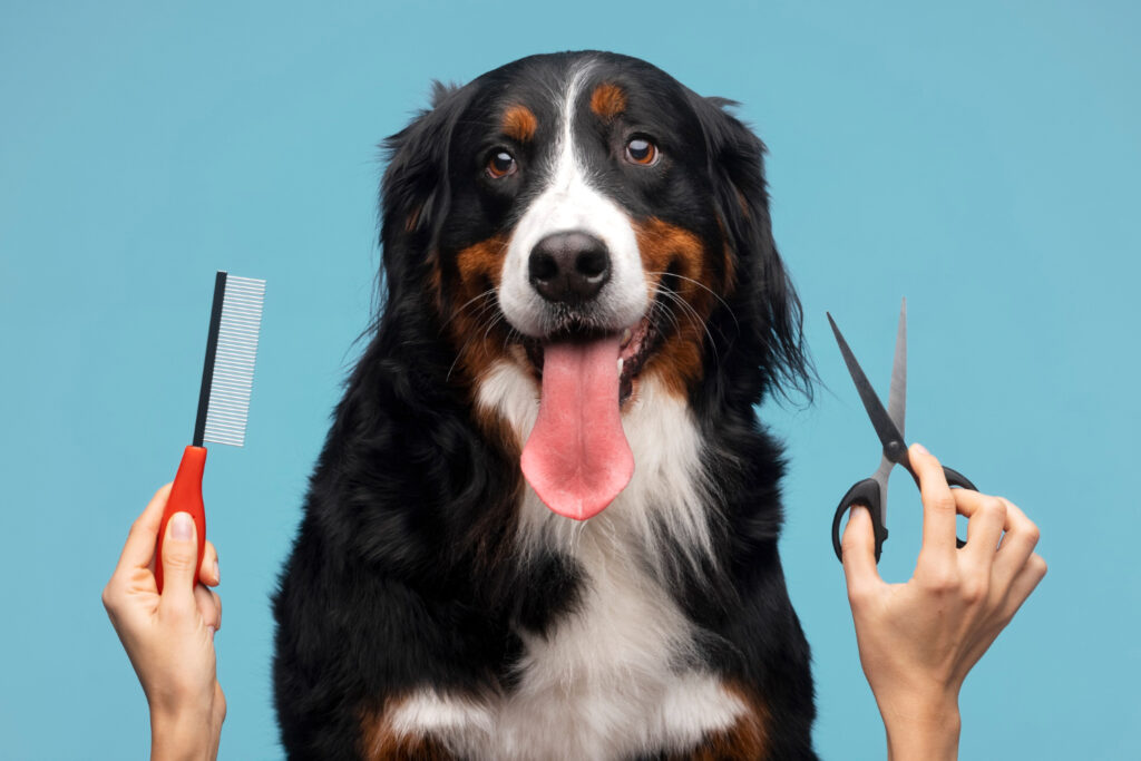Dog Grooming