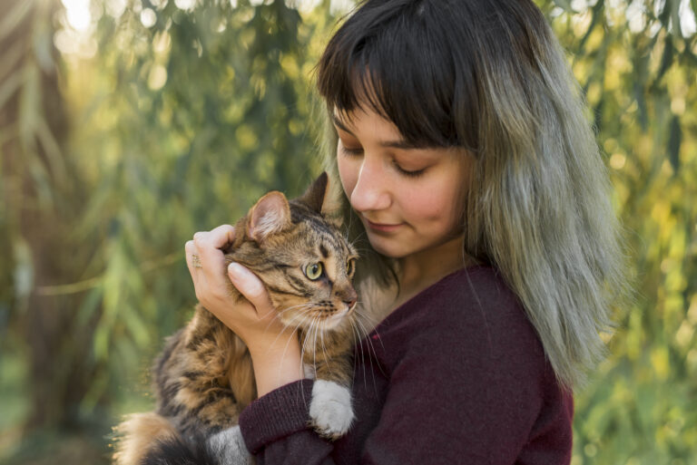 Adopting a Cat