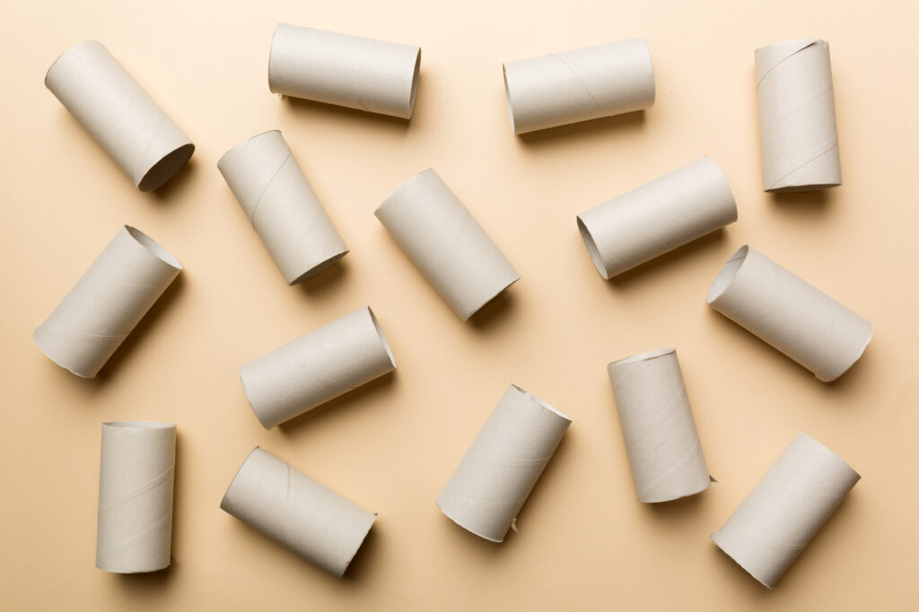 Toilet Roll Puzzle Toy