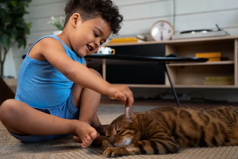 brown burmese cat playing with child using wand toy