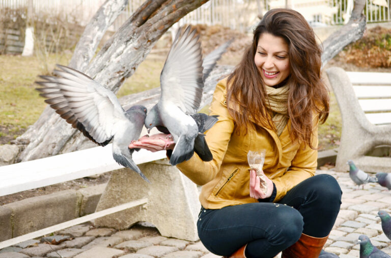 Birds that can mimic human speech