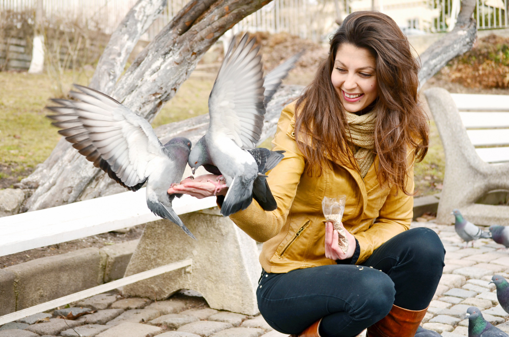 Birds that can mimic human speech
